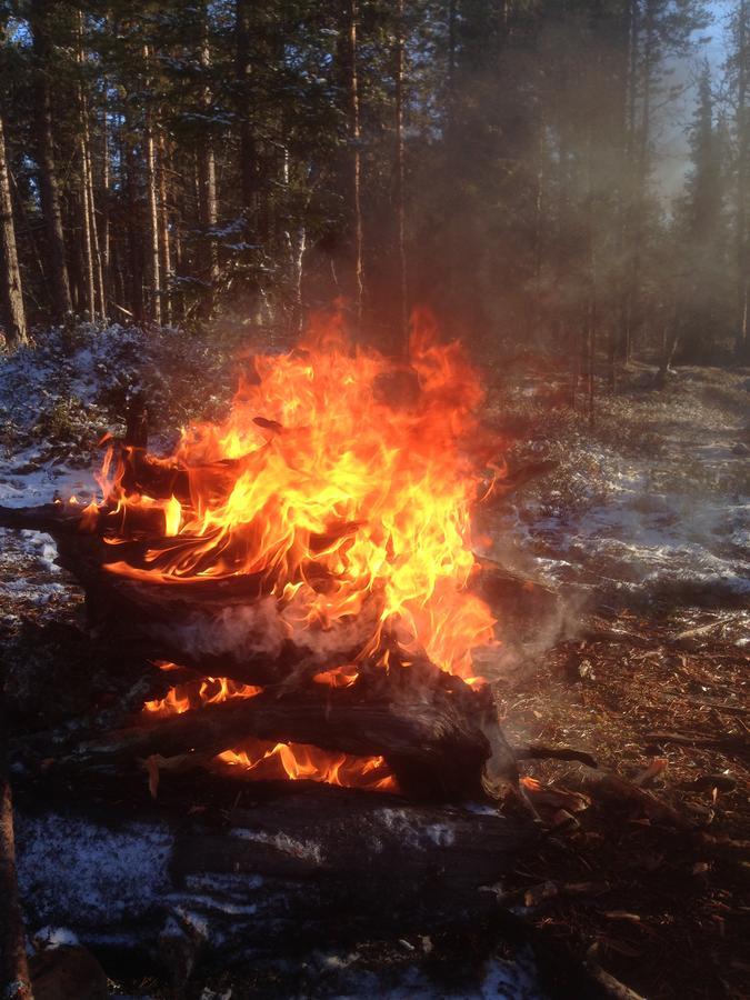 Vila Ranta Aeaerelae Vuotso Exteriér fotografie
