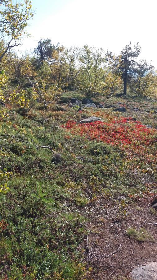 Vila Ranta Aeaerelae Vuotso Exteriér fotografie